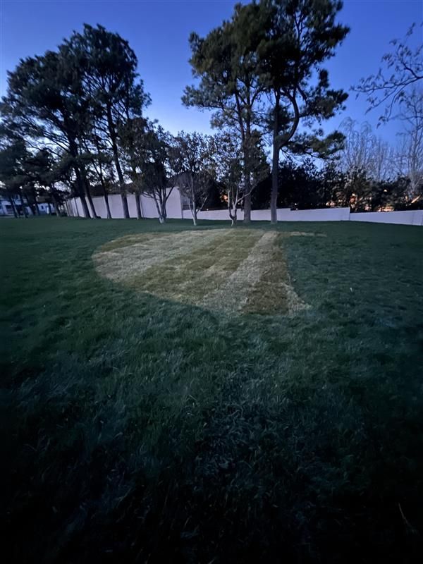 Green lawn with a lighted arc, trees in the background, and a twilight sky.