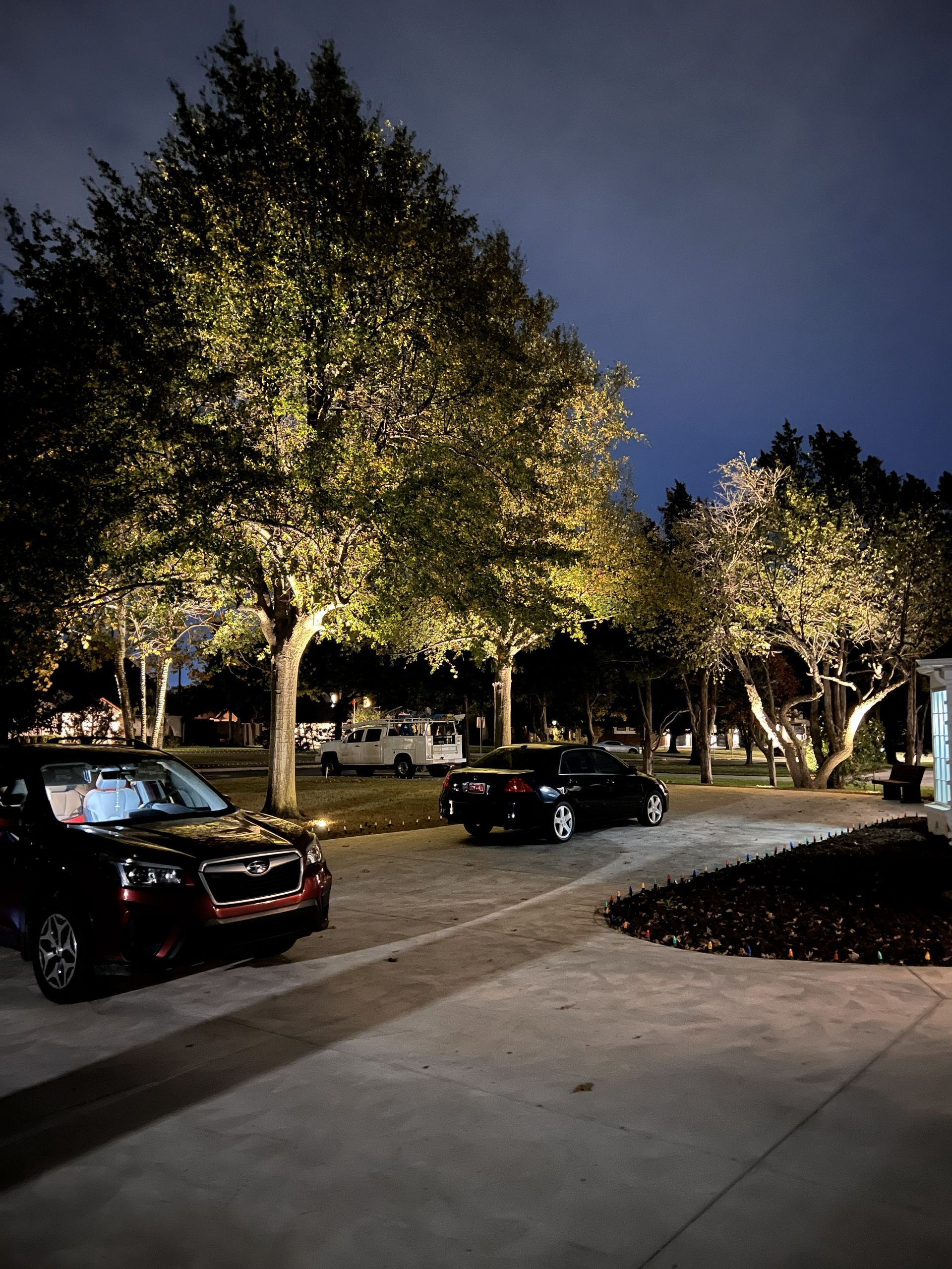 Cars parked under trees lit by spotlights at night.