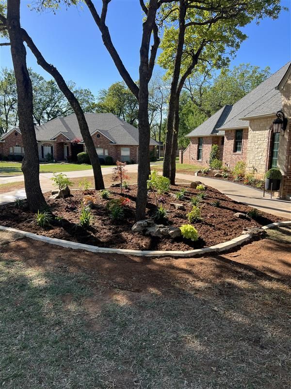 Landscaped yard with trees and house in the background on a sunny day. Brown mulch with small plants.