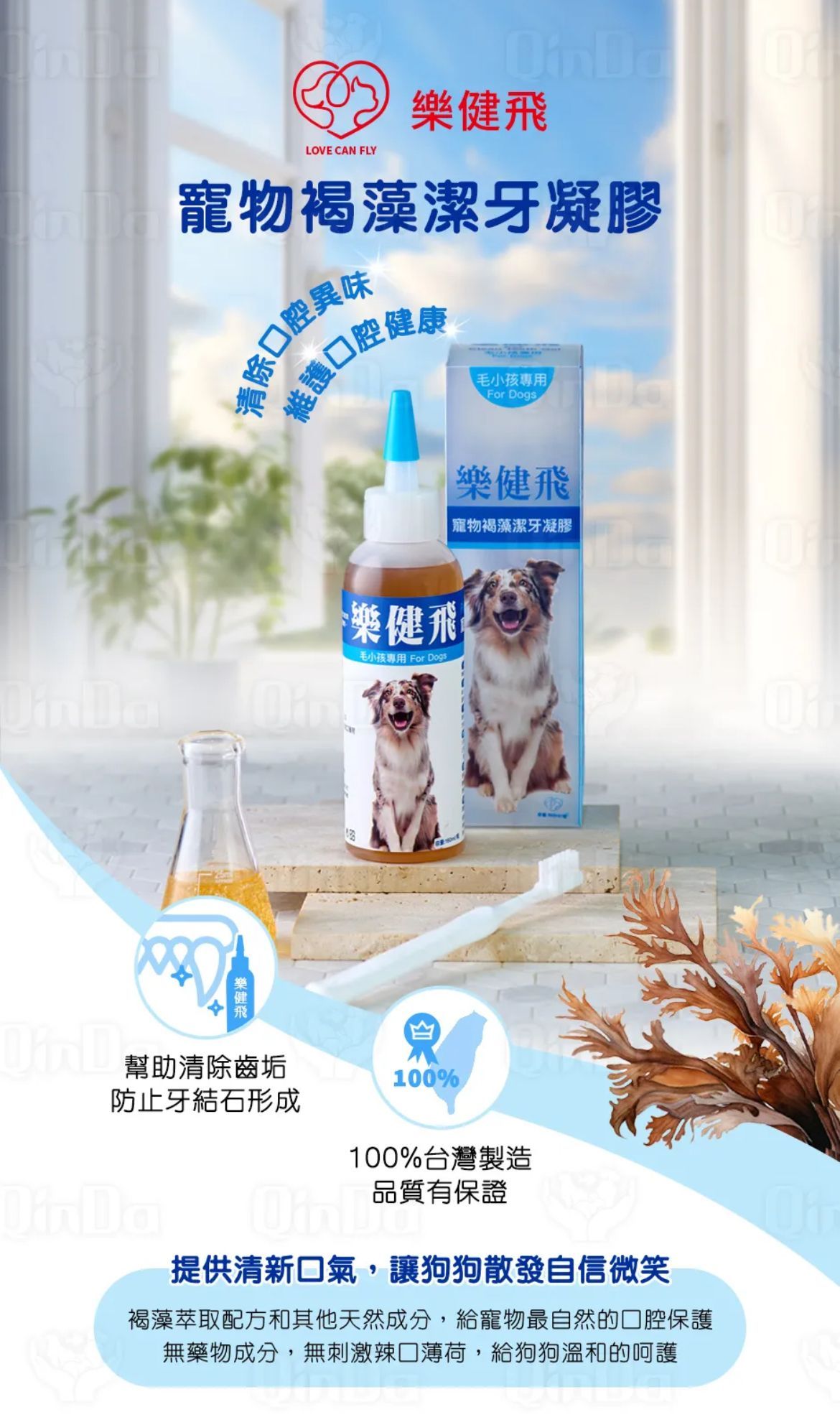 樂健飛 褐藻潔牙凝膠(犬用) 160ml