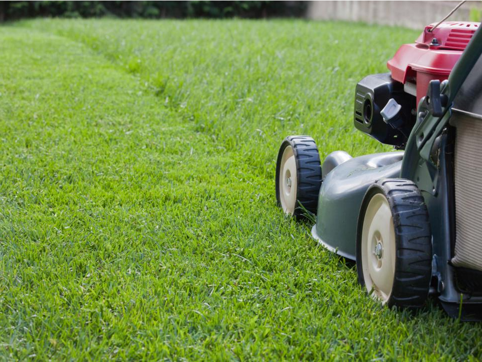 Lawnmower cutting green grass in a yard, visible wheels, red engine, sunny day.