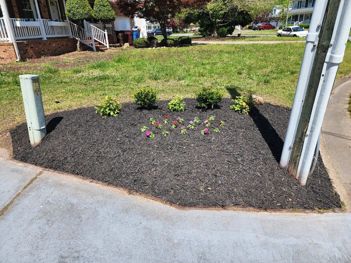 Black mulch flower bed with green plants and pink flowers, next to a sidewalk and utility pole.