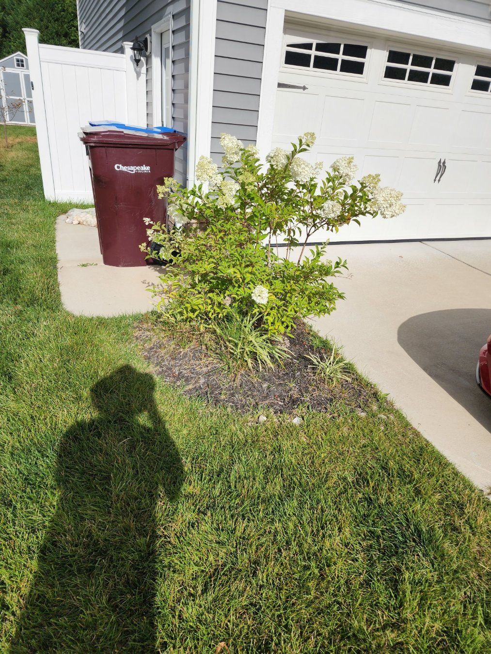 Brown trash bin and blooming bush next to a garage, with a shadow of a person taking the photo on the lawn.