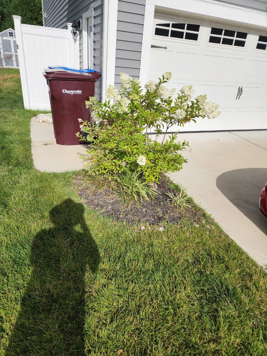 A person's shadow on a grassy lawn with a flowering bush and a trash bin in front of a garage.