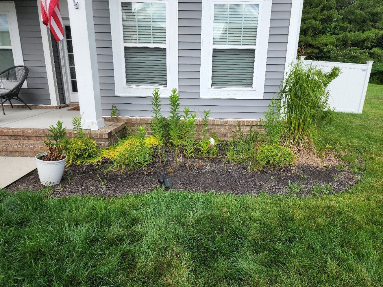 Garden bed in front of a gray house, with various green plants and dark mulch.