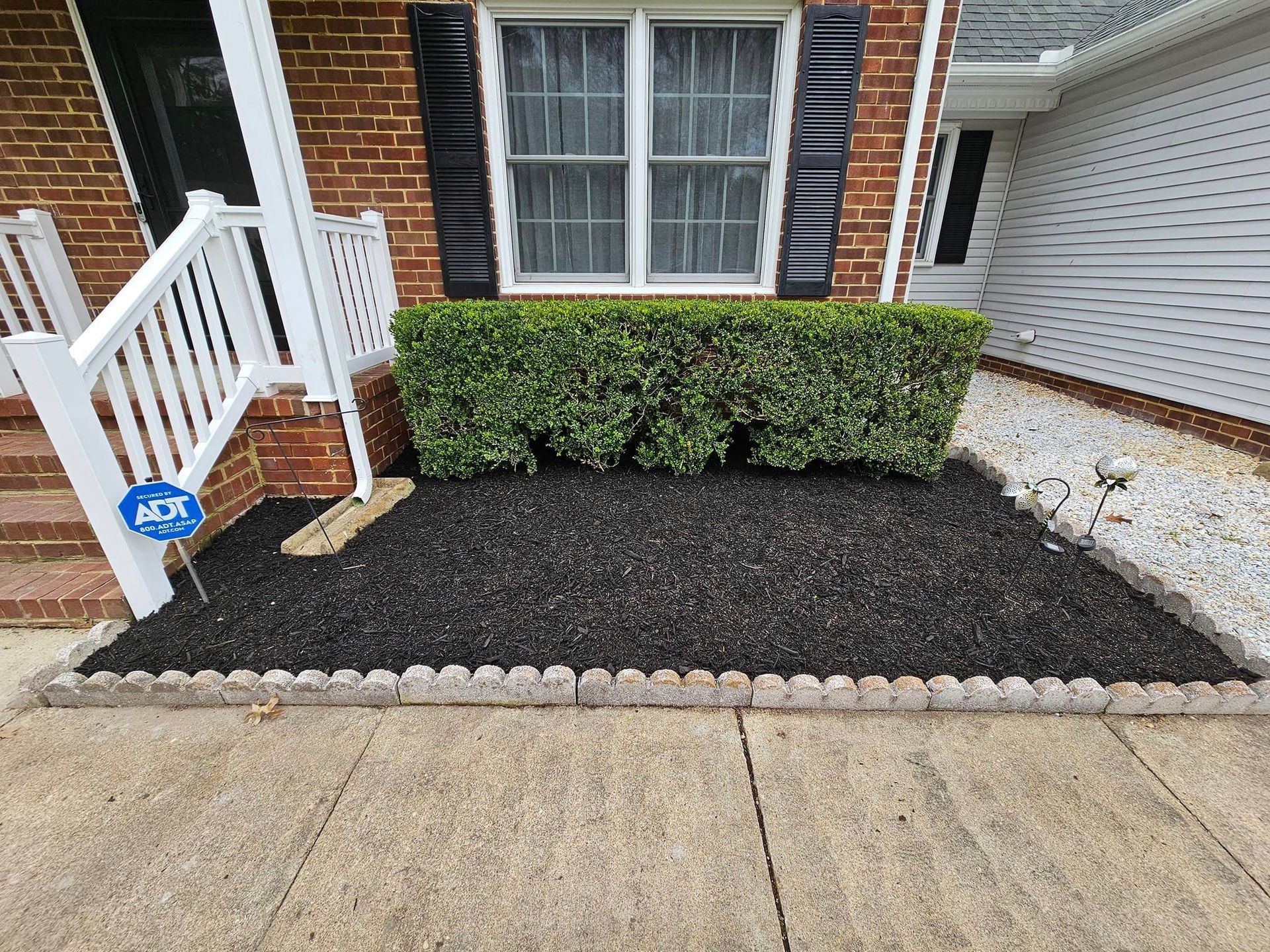 A front yard garden bed with black mulch, a green bush, and a brick house.
