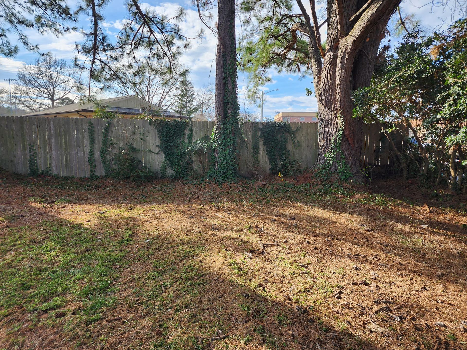 Backyard with wooden fence, trees, and brown grass.