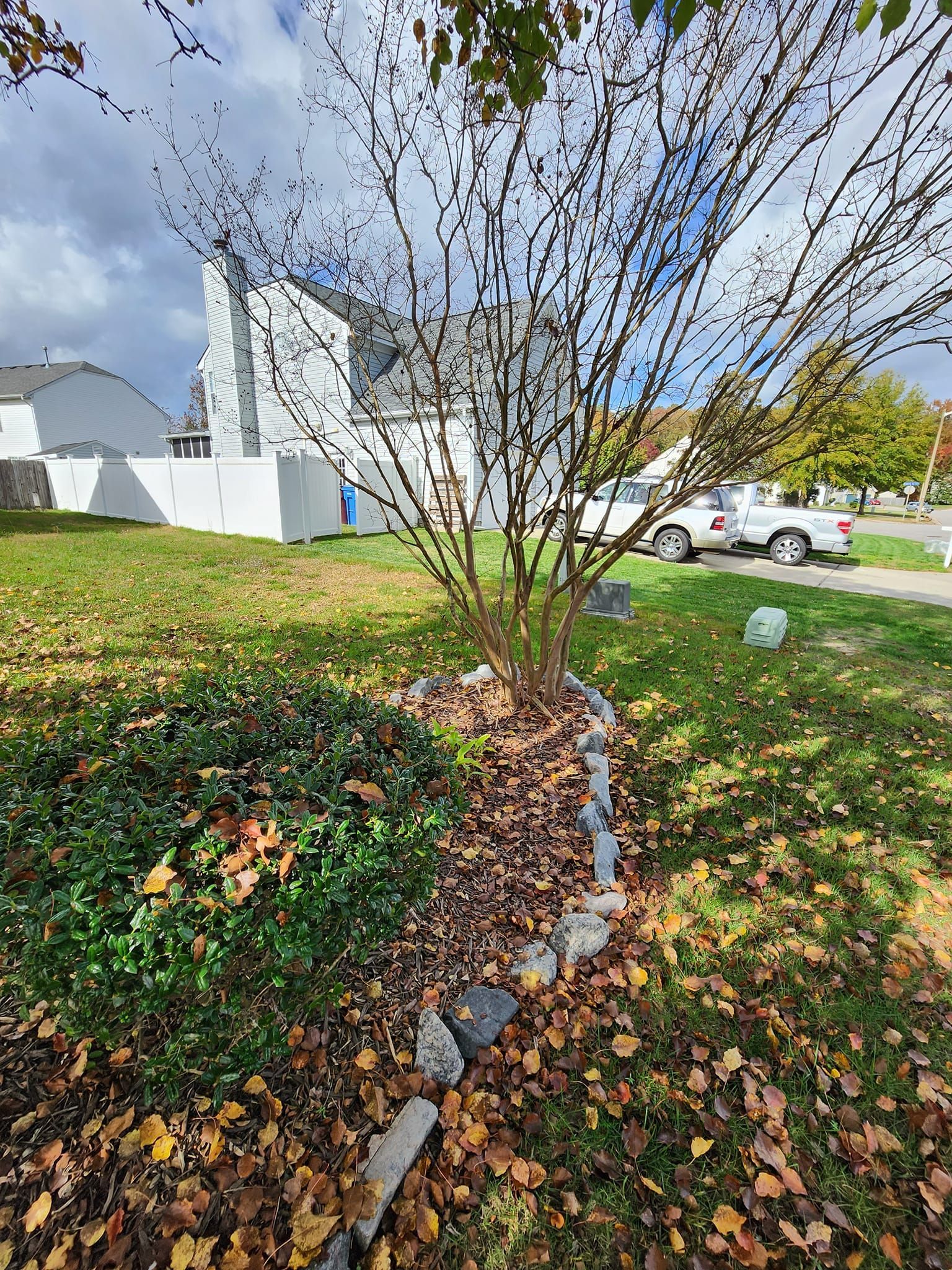 A bare tree in a small garden bed with a low stone border, with a cloudy sky and houses in the background.