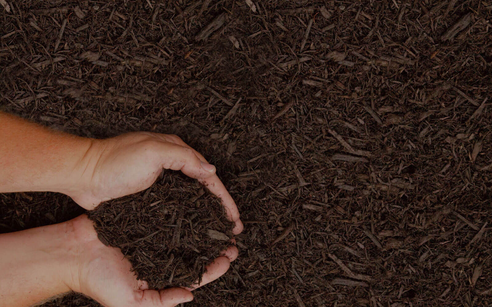 When To Install Winter Mulch?