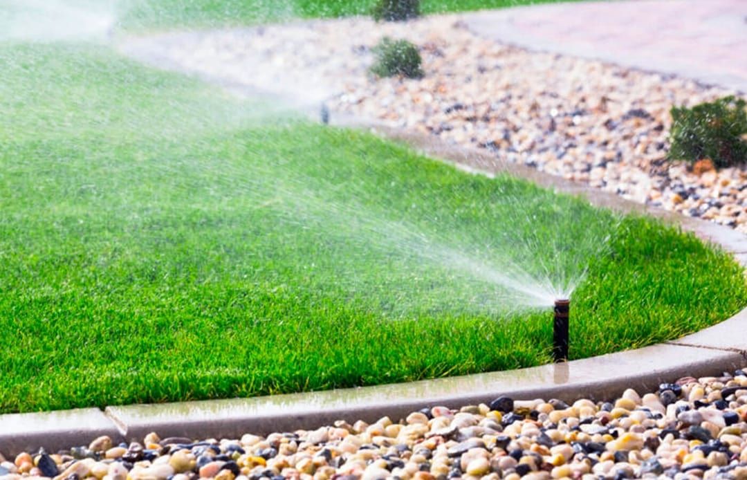 Sprinkler watering a green lawn, near a border of rocks.