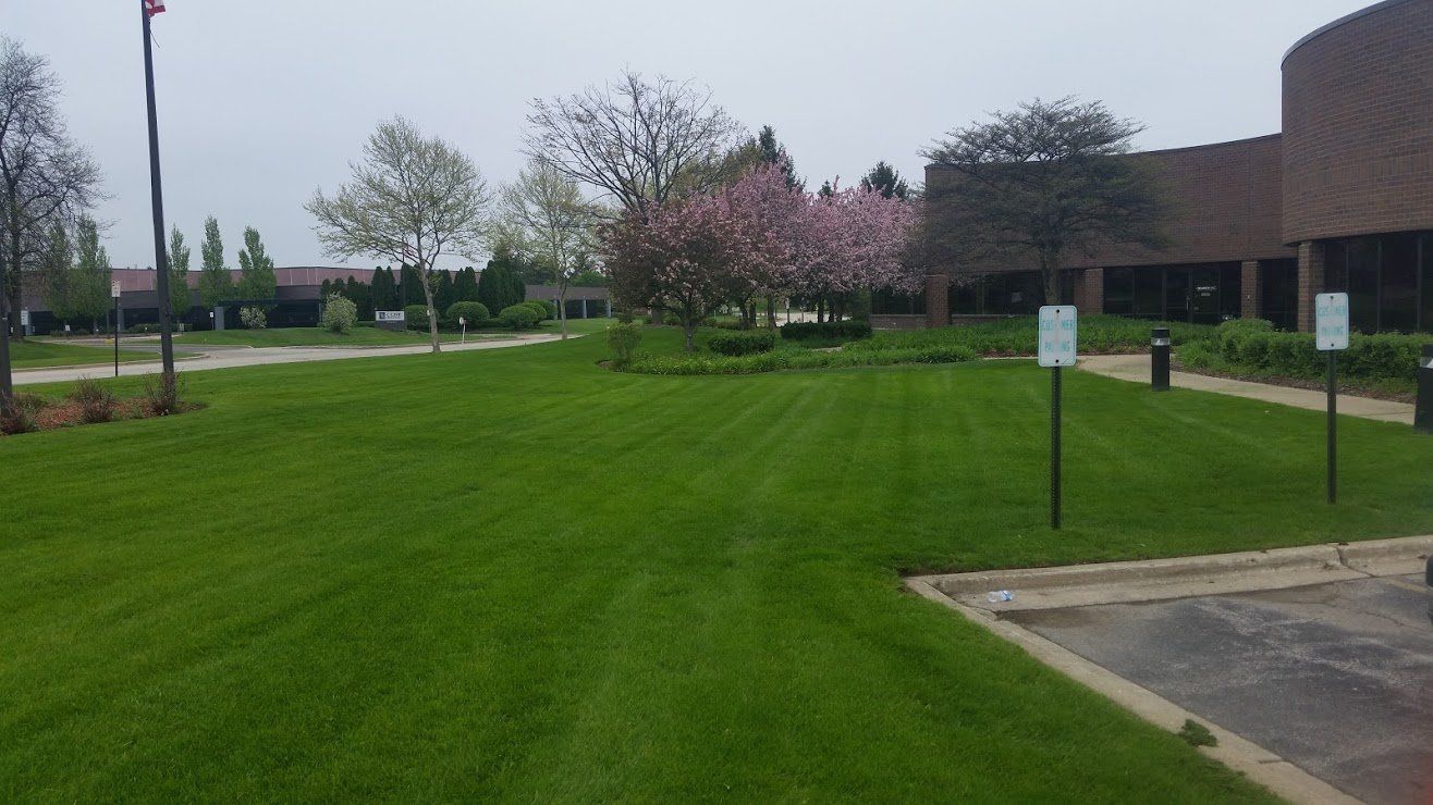 Green lawn and blooming trees in front of a building on an overcast day.