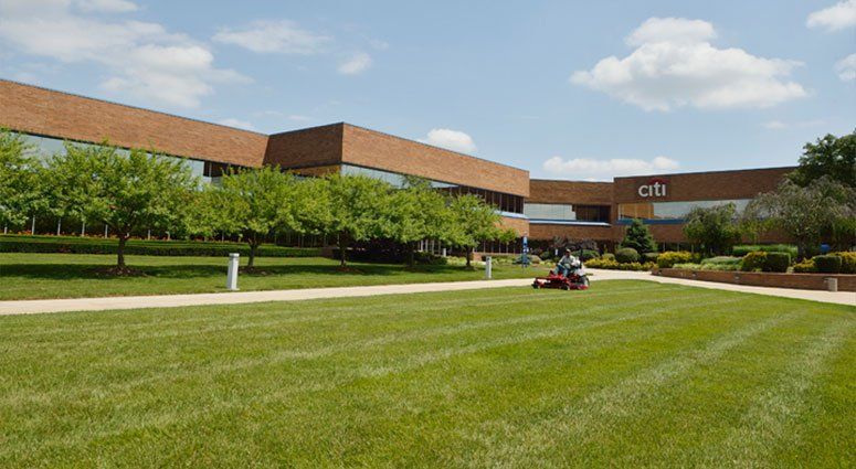 Lawnmower cutting grass in front of a brick Citi building on a sunny day.