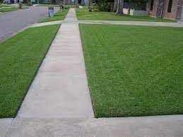 Concrete sidewalk flanked by green lawns in a residential area. A street is visible on the left.