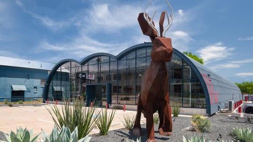 Rust-colored deer sculpture before a curved glass building with desert landscaping