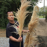 Person holding tall beige pampas grass on a gravel path outdoors