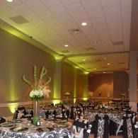 Banquet hall with rows of decorated tables, white chairs, and green uplighting on the walls and ceiling