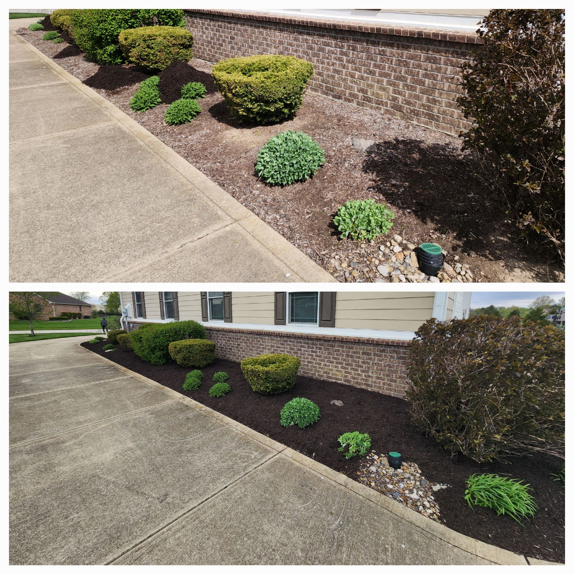 Top Rated Mulch Installation Services in Lebanon, Indiana