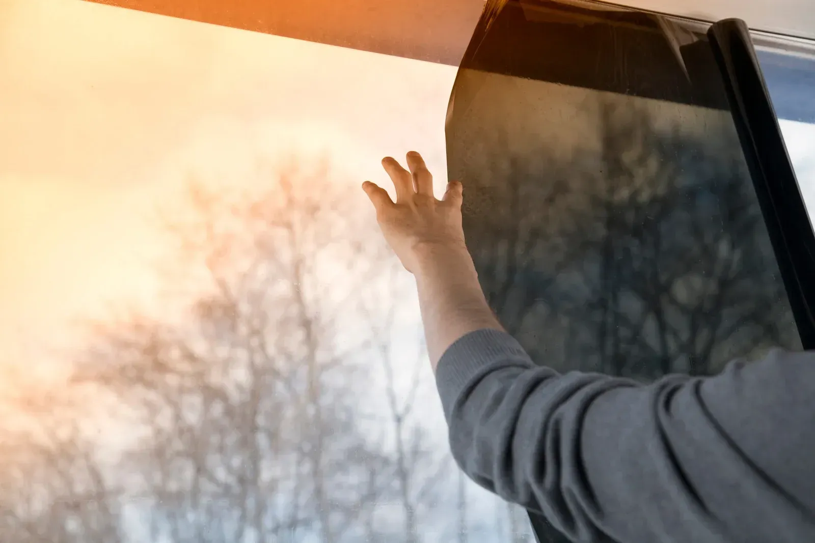 Person reaching towards a window, arm extended. Sunlight illuminates bare trees outside.