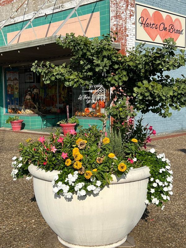 Large white flower pot with colorful flowers and a small tree in front of a store.