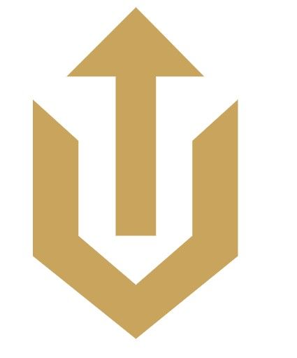 Gold upward arrow emblem with angular shield-like outline on white background