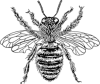 Honey Bee Homecare, LLC icon