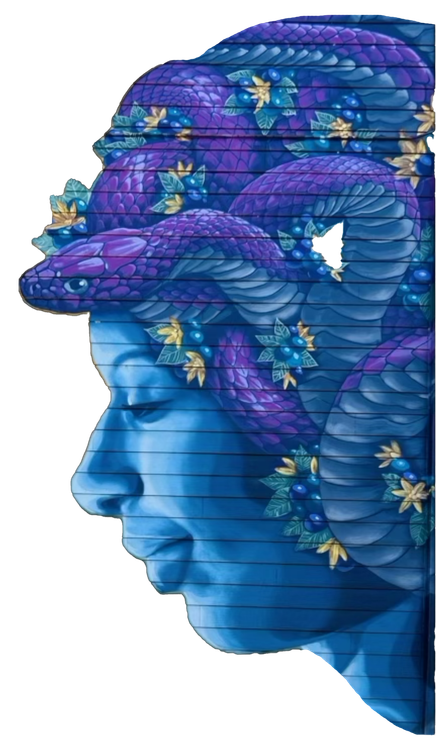 A drawing of a woman with a snake on her head.