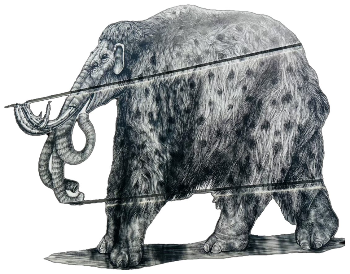 A drawing of an elephant with a snake in its mouth