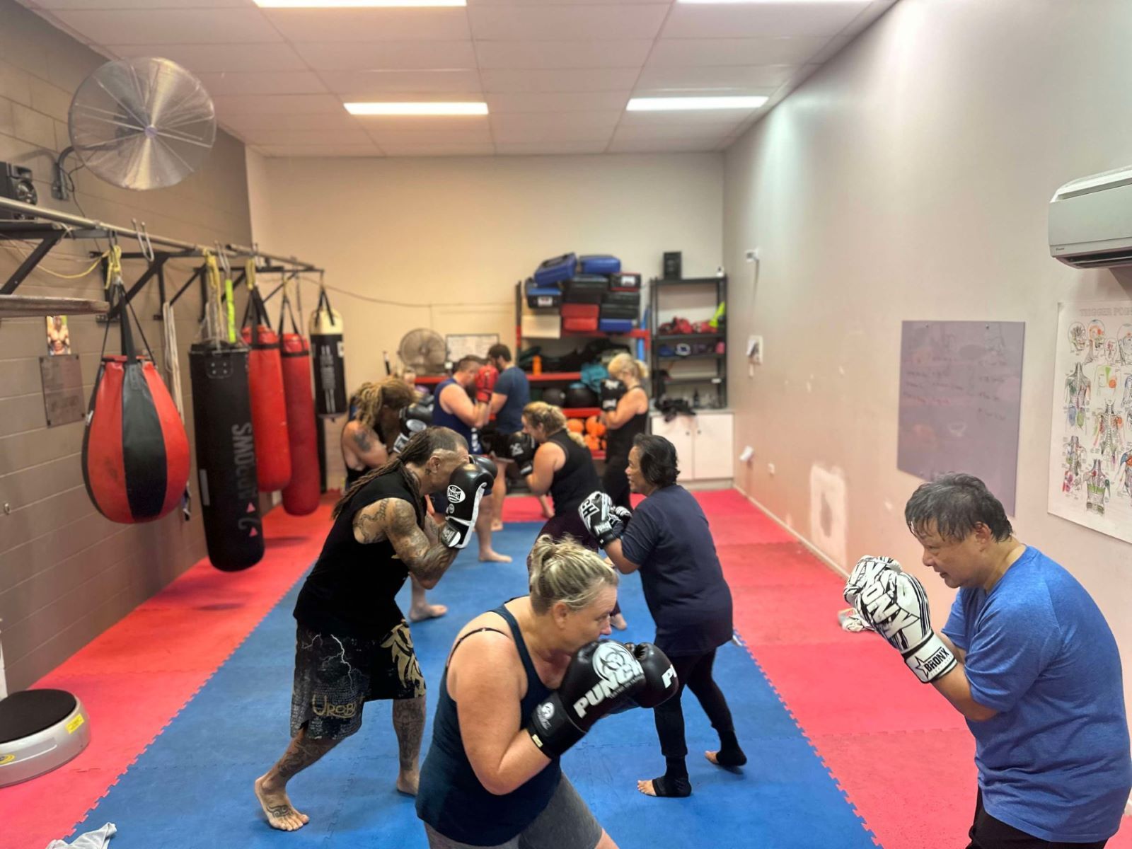 A Group Of People Are Boxing in a Gym In Two Lines— Maxenergy Fitness in Smithfield, QLD