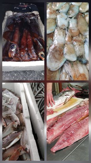 dentice e insalata di arance