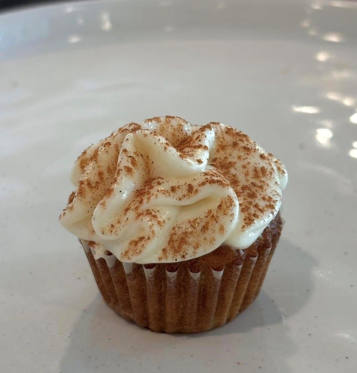 Vanilla-frosted cupcake with cinnamon sprinkled on top, sitting on a white plate.