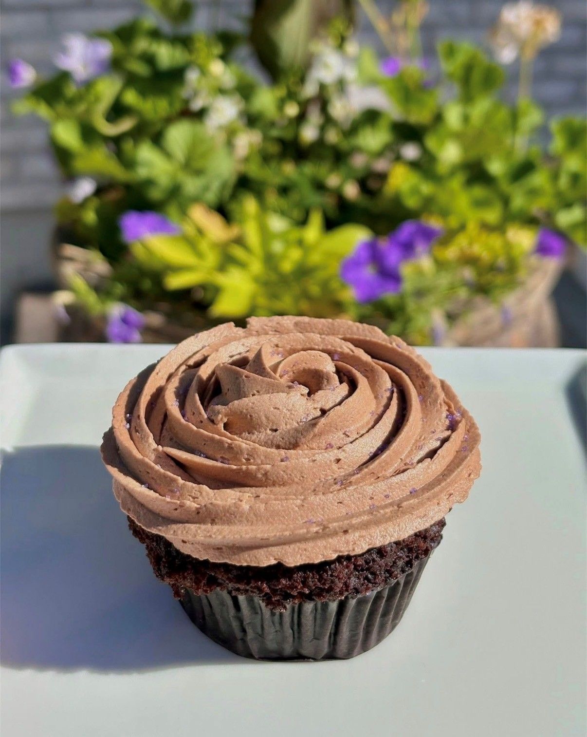 Chocolate-frosted cupcake on a white plate with blurred flowers in the background