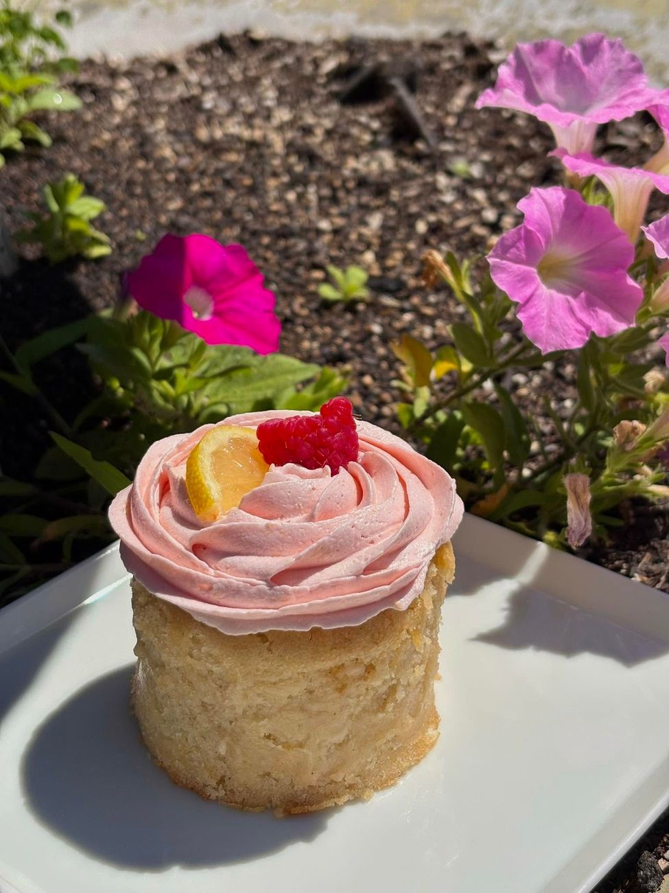 Pink-frosted mini cake with fruit garnish on a plate, set outdoors near pink flowers