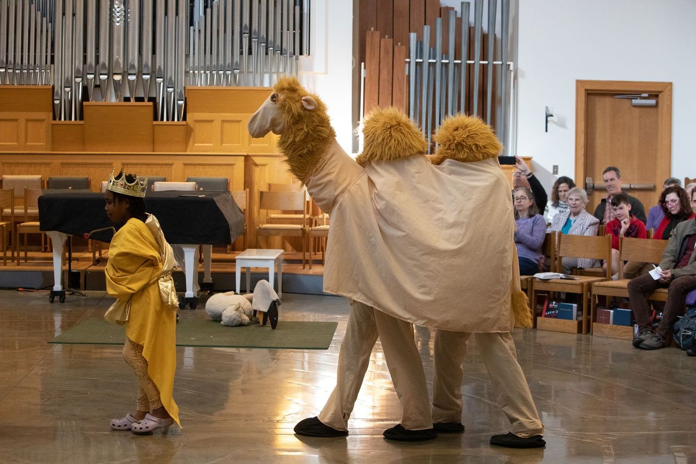 Two people in camel costume in COS Christmas pageant