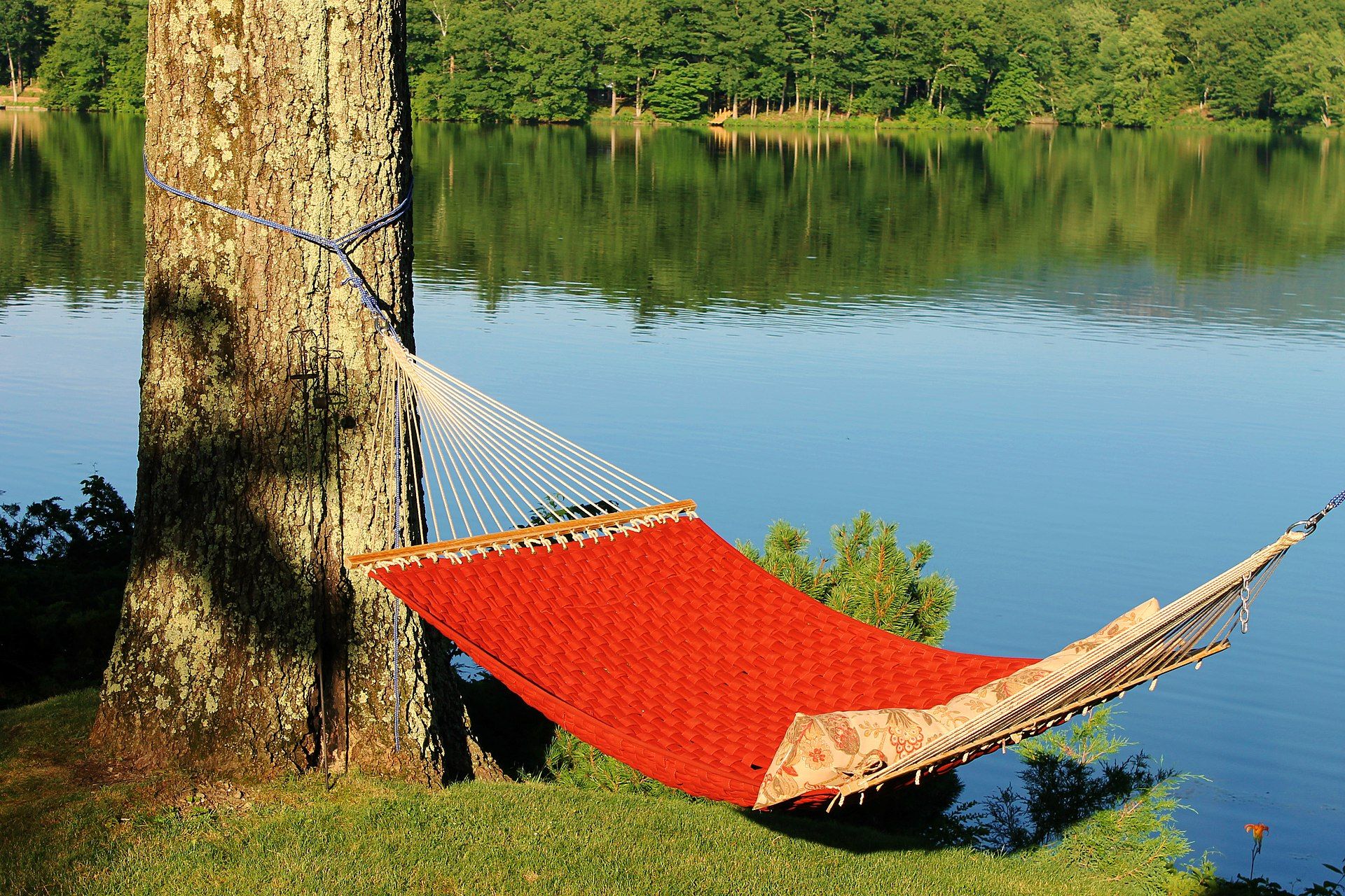 HAMMOCK