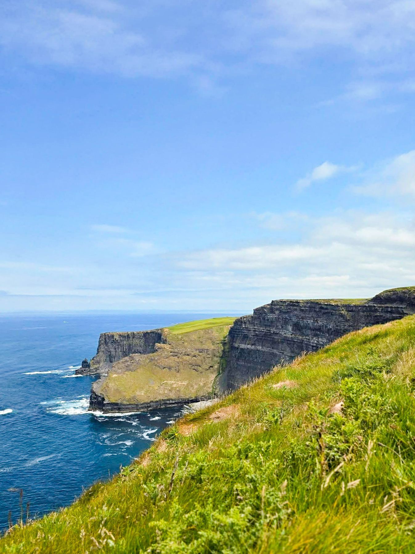Grassy coastal cliffs above a blue ocean under a clear sky