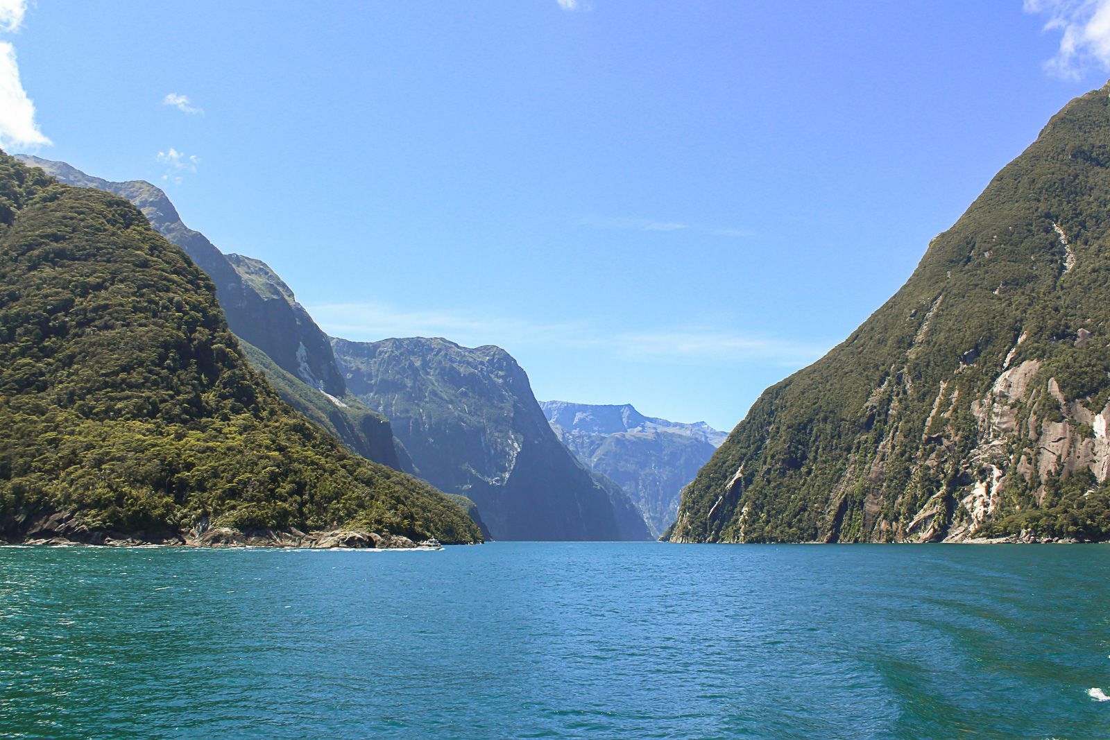 Narrow blue fjord between steep green mountains under a clear sky