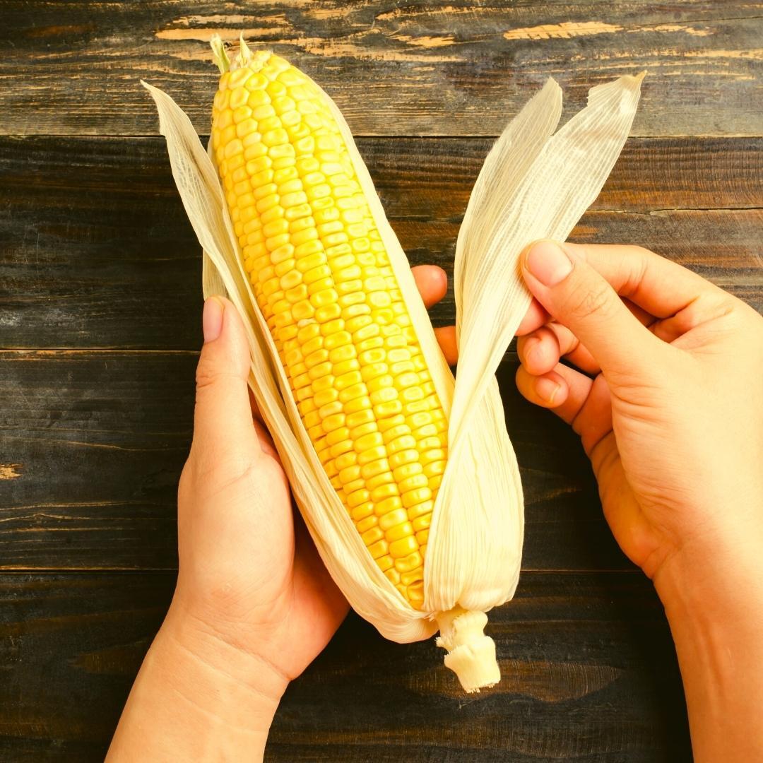 Sobre a Maíz Food: Tradição e Qualidade em Pamonhas Congeladas