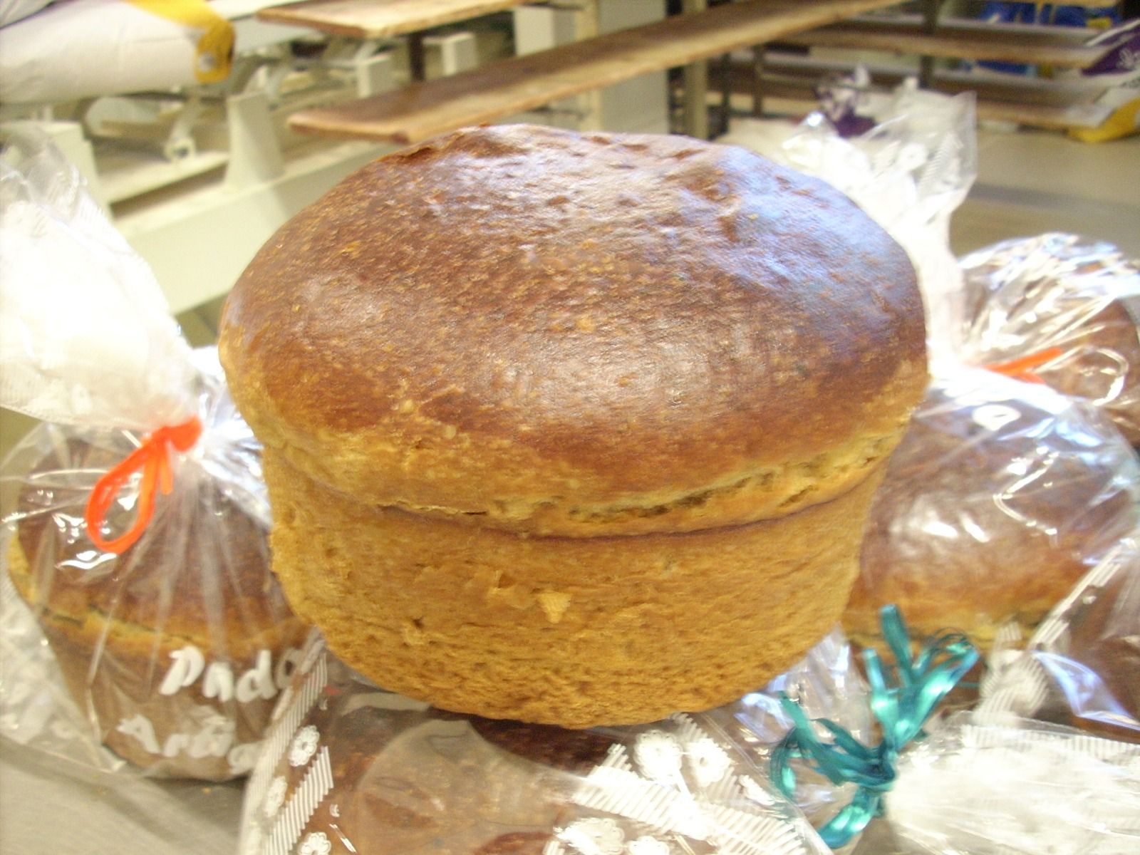 Una grossa pagnotta rotonda con la superficie dorata, avvolta nella plastica, sul bancone di una panetteria.