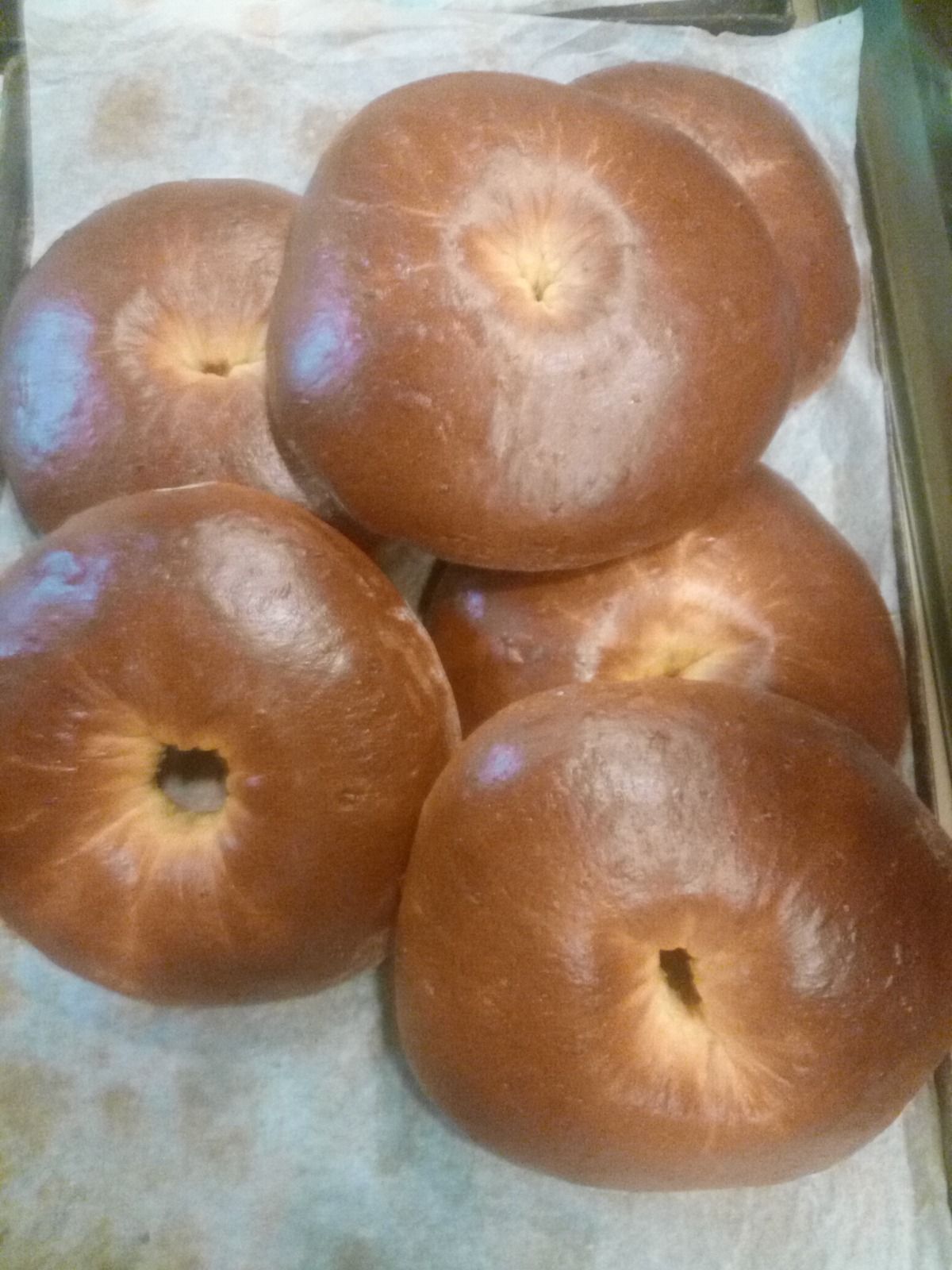 Cinque bagel semplici su un vassoio rivestito di carta da forno