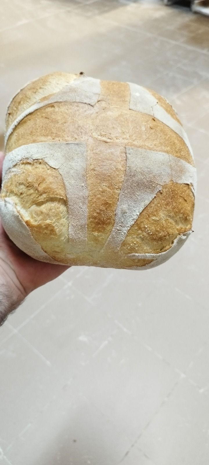 Pagnotta rotonda e croccante di pane artigianale con un motivo a croce cosparso di farina, tenuta in mano