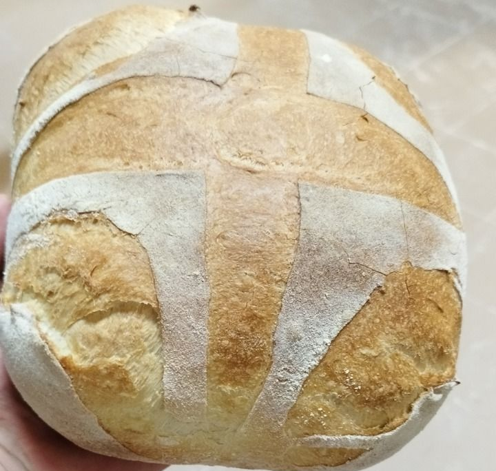 Pagnotta rotonda e croccante con una croce di farina bianca sulla parte superiore.