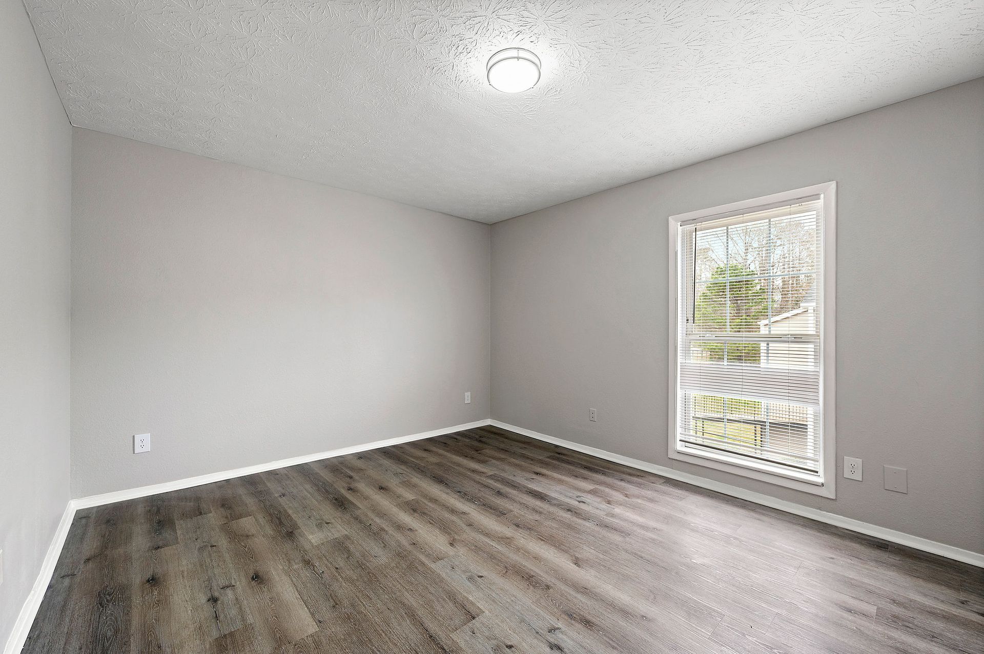 Empty gray room with wood-look flooring and a single window letting in daylight
