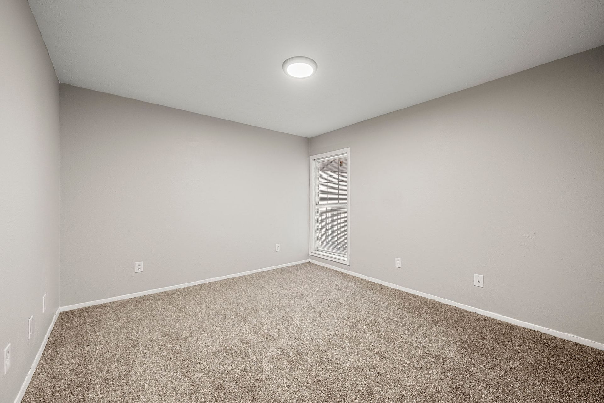 Empty carpeted room with gray walls, white ceiling, and a small window on the far wall.