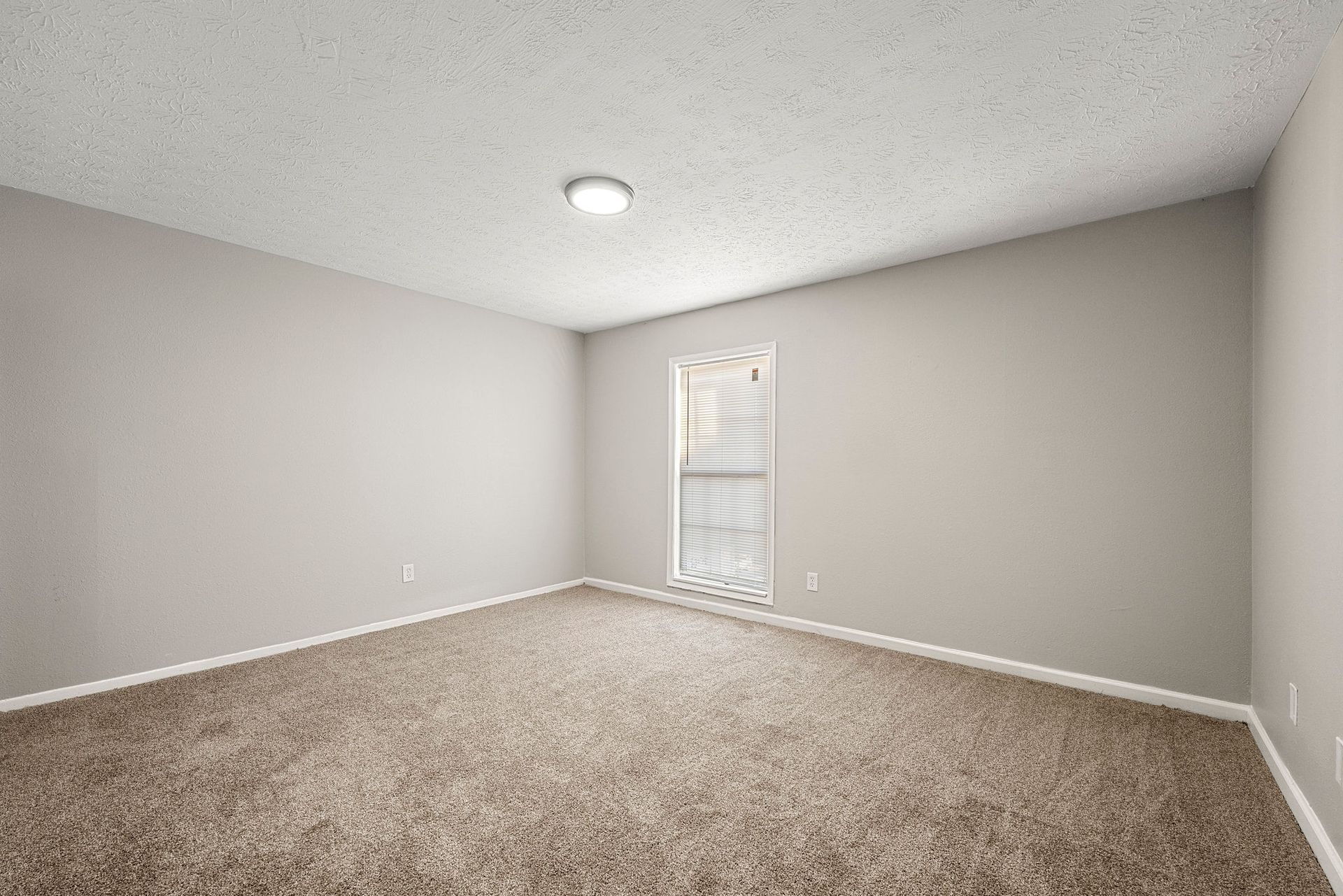 Empty beige carpeted room with gray walls, white trim, and a small window.