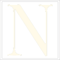 A white letter n in a square on a white background.