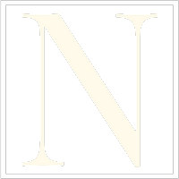 A white letter n in a square on a white background.
