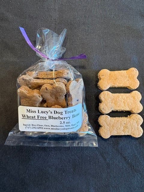 Wheat Free  Blueberry - Puppy Size 1 Dz.