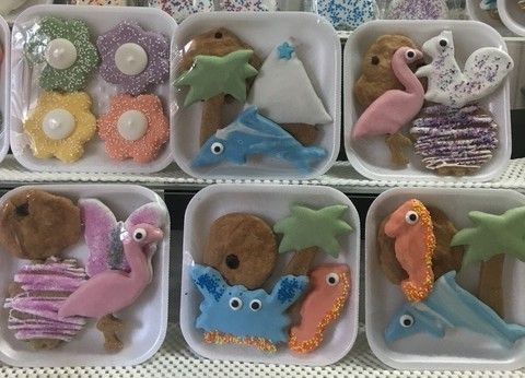 Peanut Butter Cookies with Carob and Yogurt - Assorted Seasonal Cookie Tray 4 pcs.
