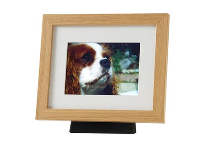 FramePod