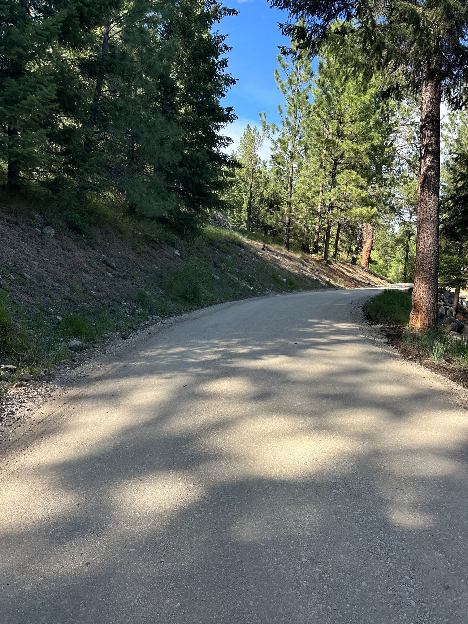 Sunlit gravel road curving through a wooded hillside with trees and shadows